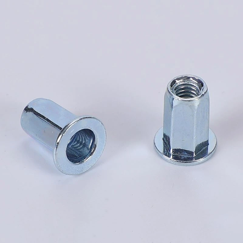 Patag nga ulo nga full hex nga bagi rivet nuts .